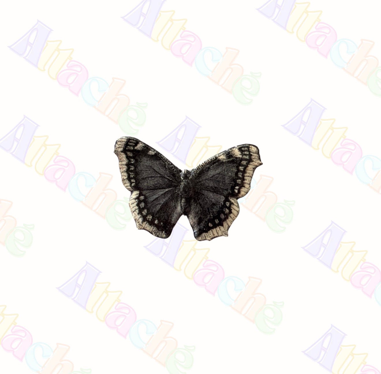 Black & White Butterfly Metal Sticker